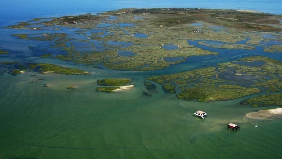 Lou Cachotte Leilighet Le Teich Eksteriør bilde